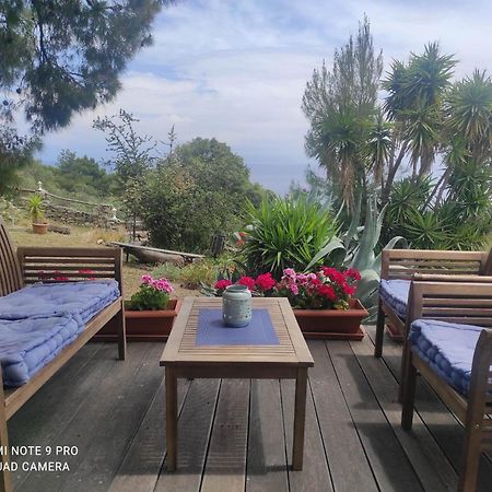 Villa Athos Sarti Exterior photo