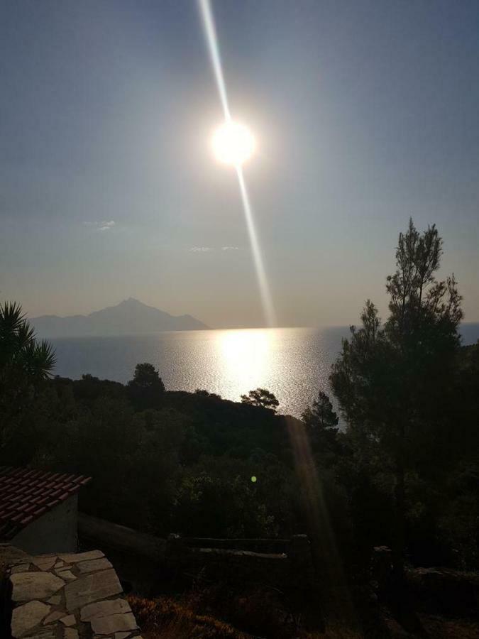 Villa Athos Sarti Exterior photo