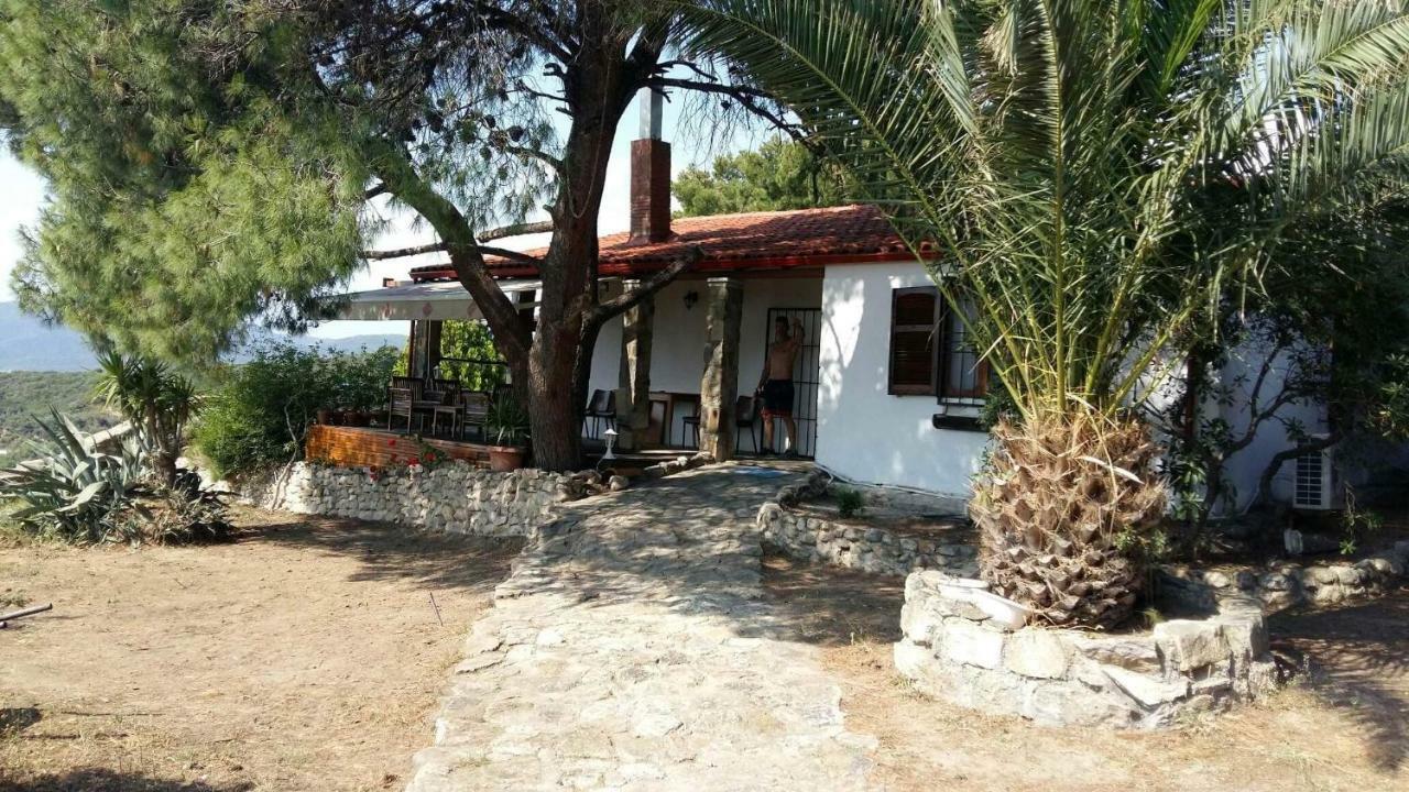 Villa Athos Sarti Exterior photo
